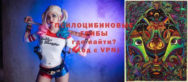 apvp Зерноград