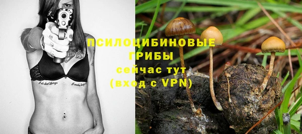 apvp Зерноград